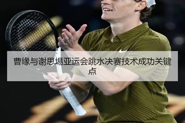 曹缘与谢思埸亚运会跳水决赛技术成功关键点